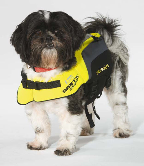Bart's Neoprene Dog Life Jacket